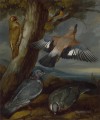 Francis Barlow Jay Green Woodpecker Pigeons and Redstart birds